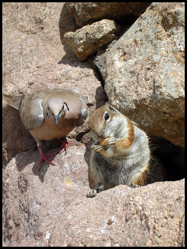 Aggiungi un posto a tavola