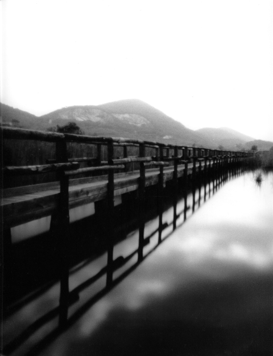 Oasi di Massaciuccoli