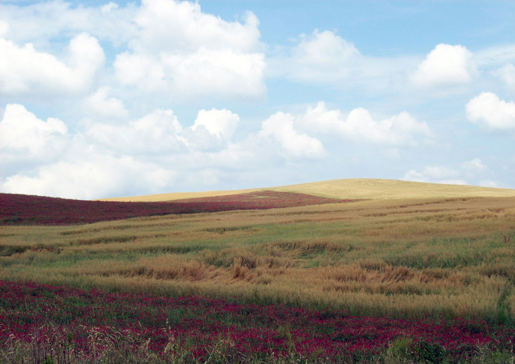 i colori della primavera