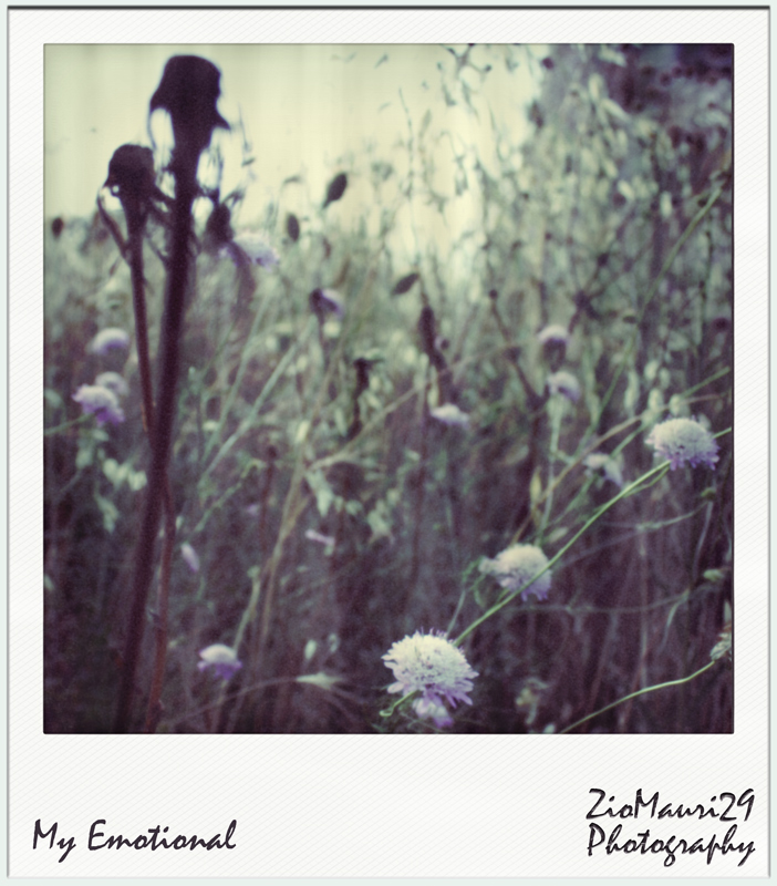 ..My Emotional..