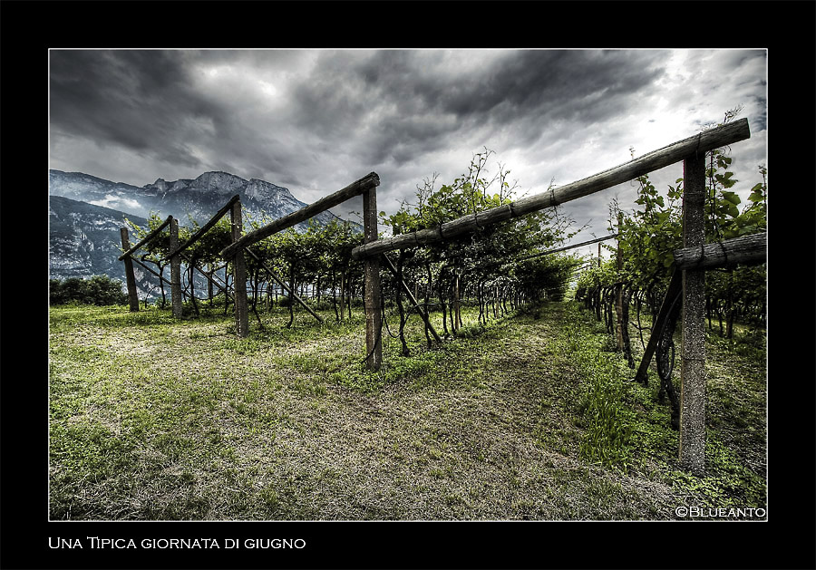 Una tipica giornata di giugno