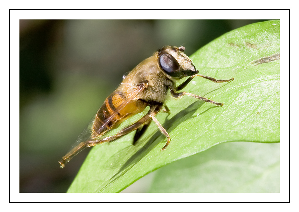 ..un p� di pulizia..