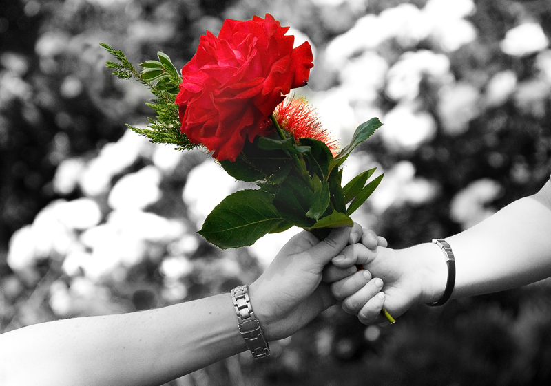 Dal Contest Colori Complementari