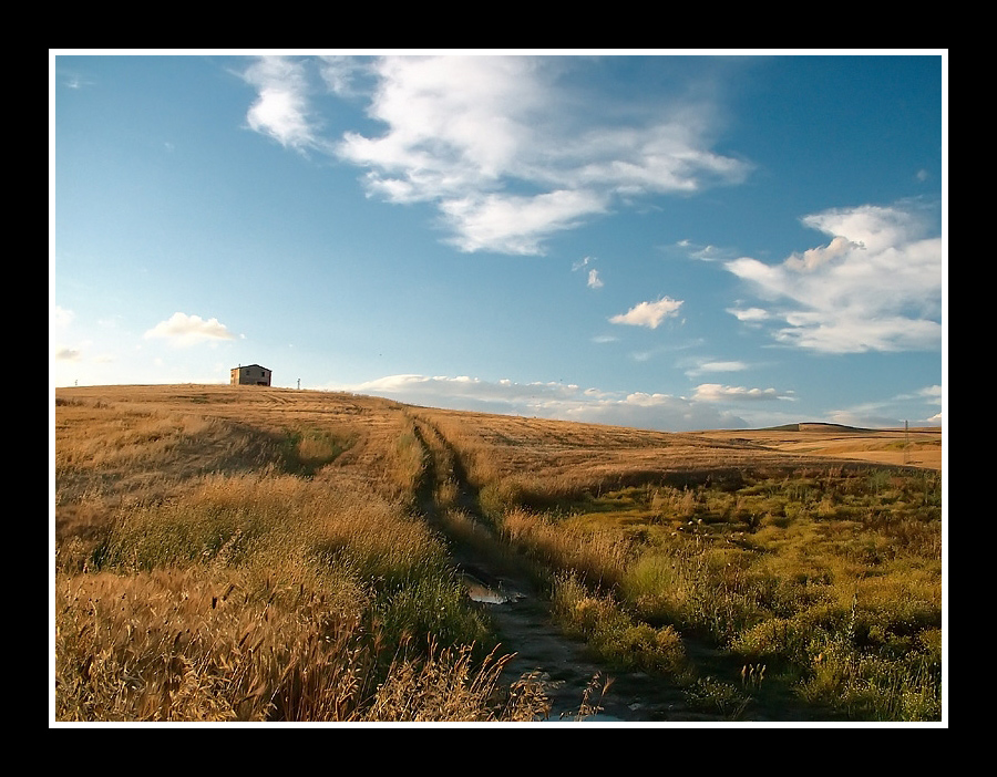 ...LOST IN THE SKY...