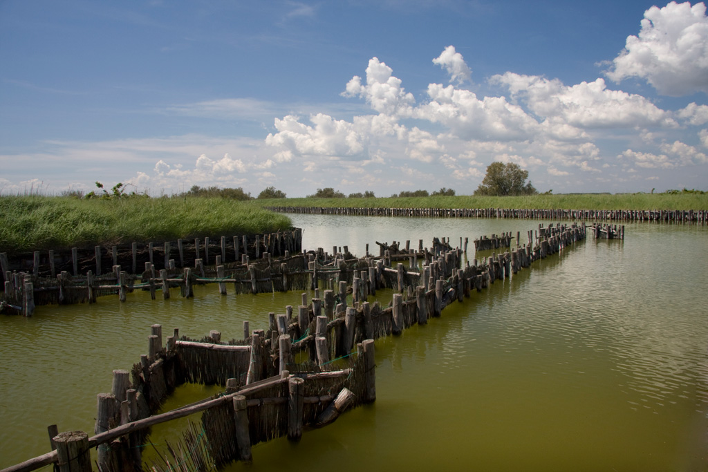 Valli di Comacchio