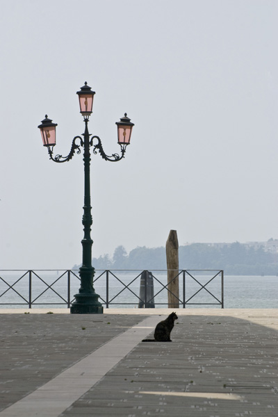 Giudecca nascosta 06