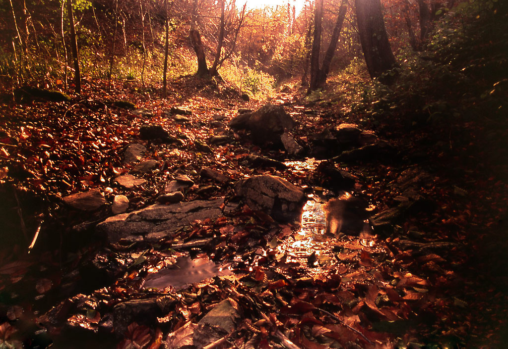 Ruscello al tramonto