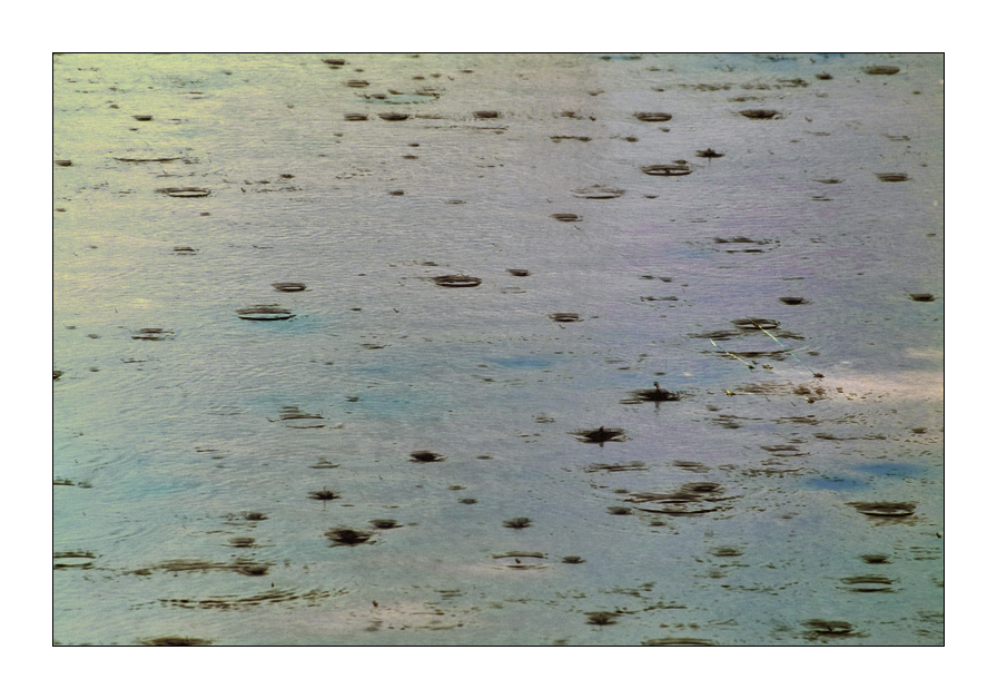 Cade la pioggia e tutto bagna....