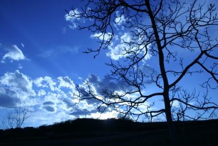 paesaggio del monferrato