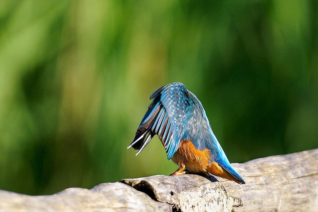 ...� lui o non � lui....