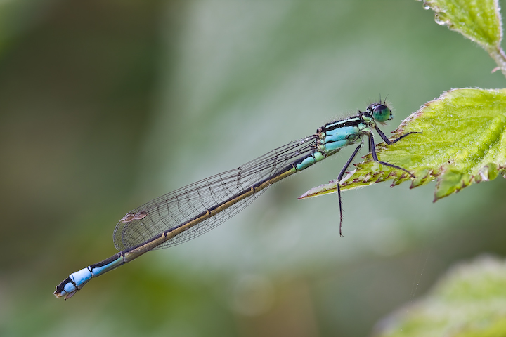 Mi asciugo ancora un p�!