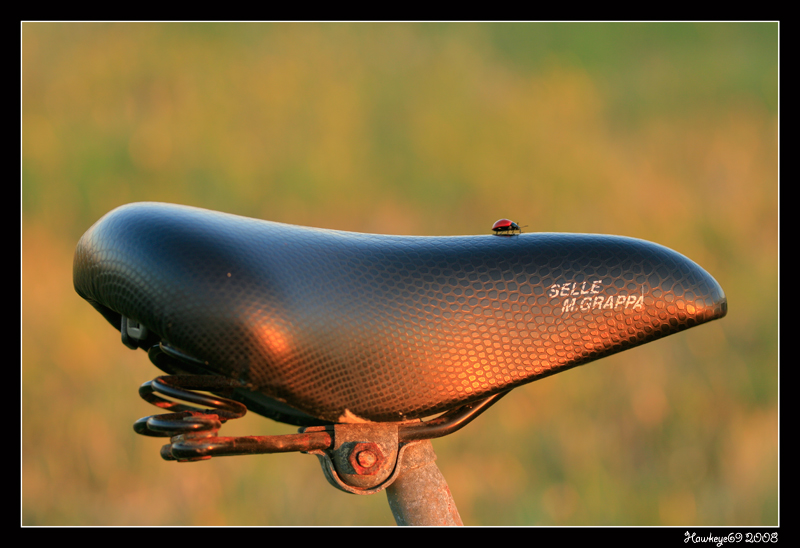 ...tutti in bici...