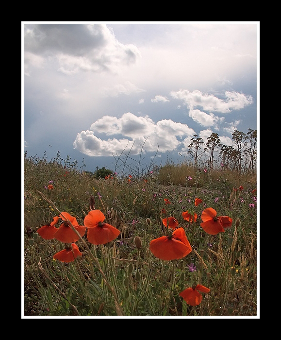 ...FRA CIELO E TERRA...