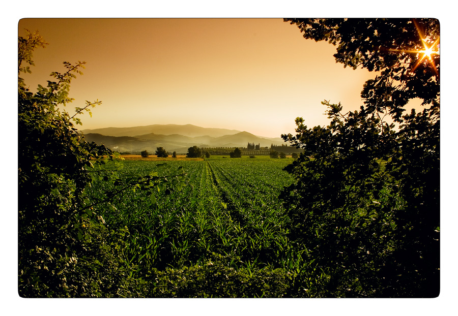 prossimamente il gano