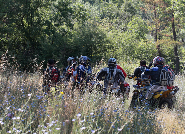 fine del (mio) divertimento