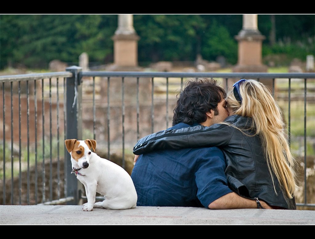 Il terzo incomodo...