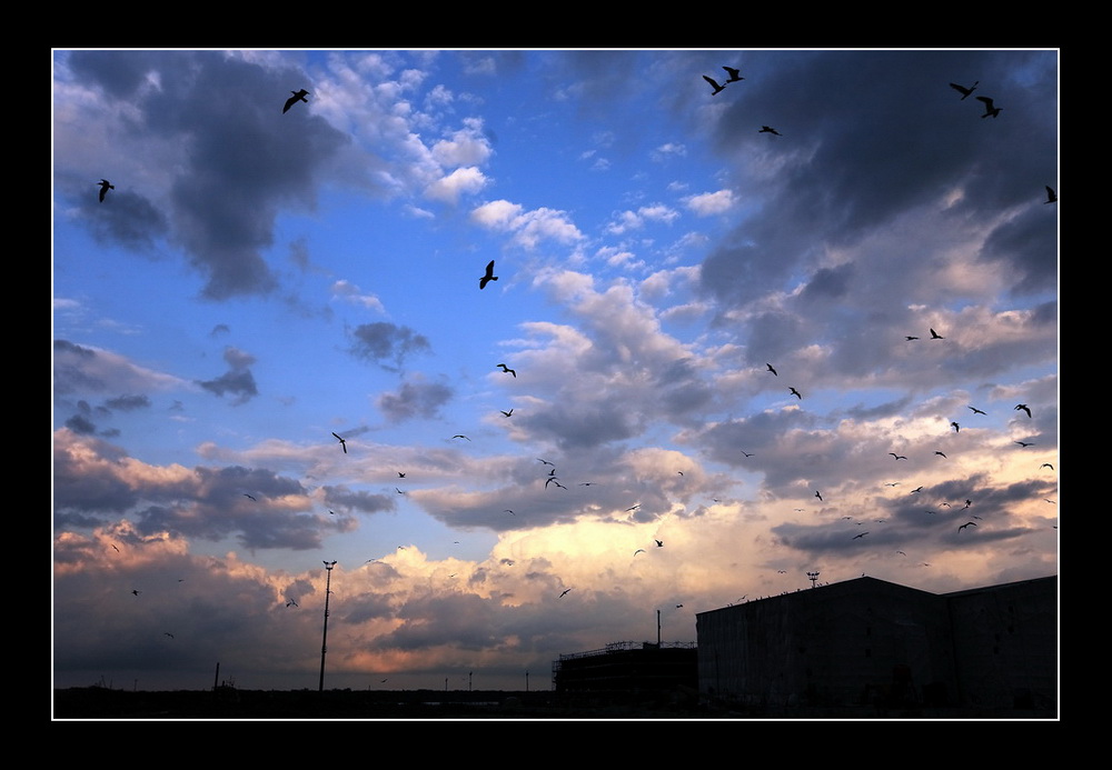 Mille pensieri affollano il cuore...