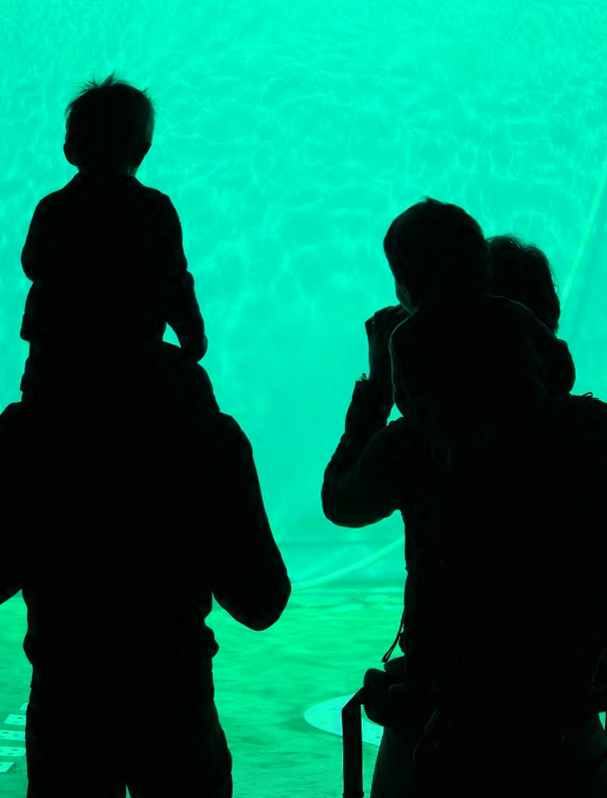 in attesa del ..........