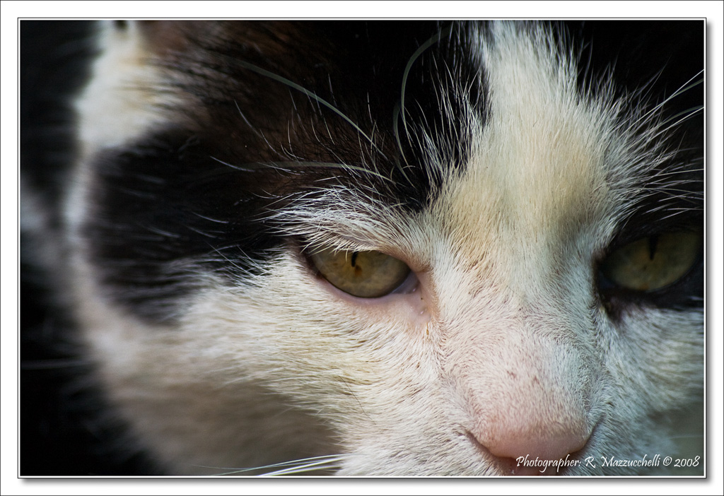 Lo sguardo nel vuoto..