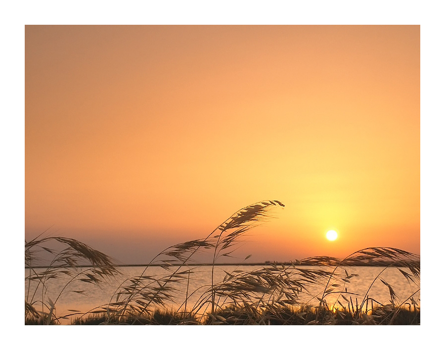 ...LA LEGGEREZZA, UN SOFFIO, L'ENERGIA...