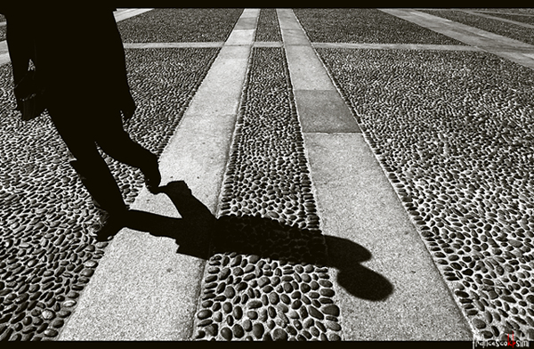 Per le linee evolutive