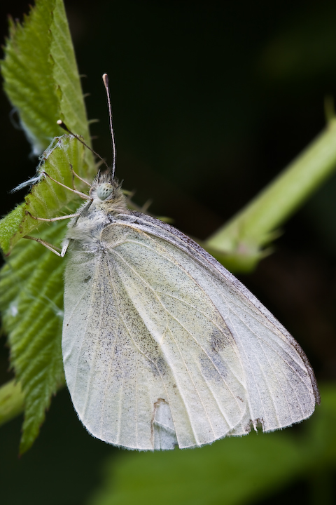 Porto i segni del tempo che passa...