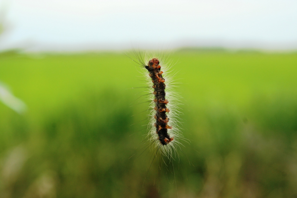 che fatica 'sta arrampicata!!!