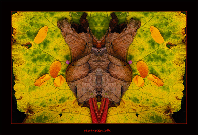 composizione di foglie