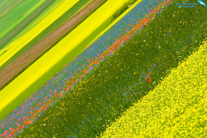 Arcobaleno 1 Castellucio di norcia