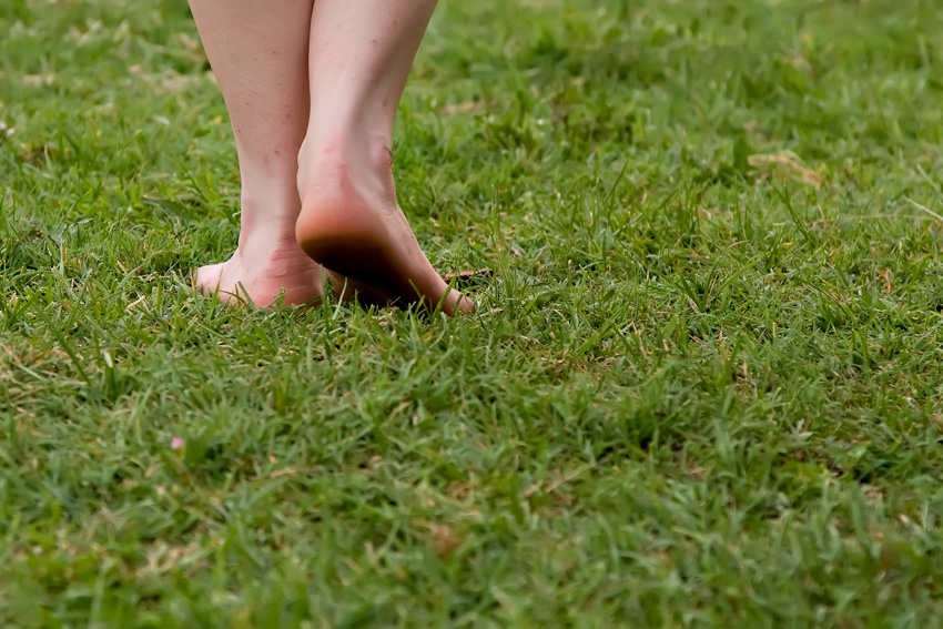 Natura a piede libero