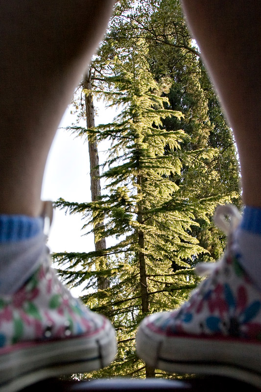 convers_ando con la natura