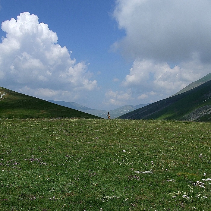 paesaggio II