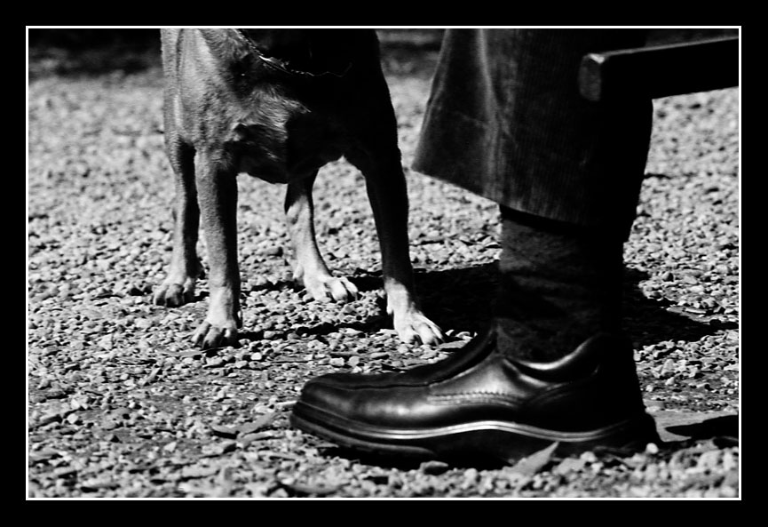 Momento di quotidianita'....