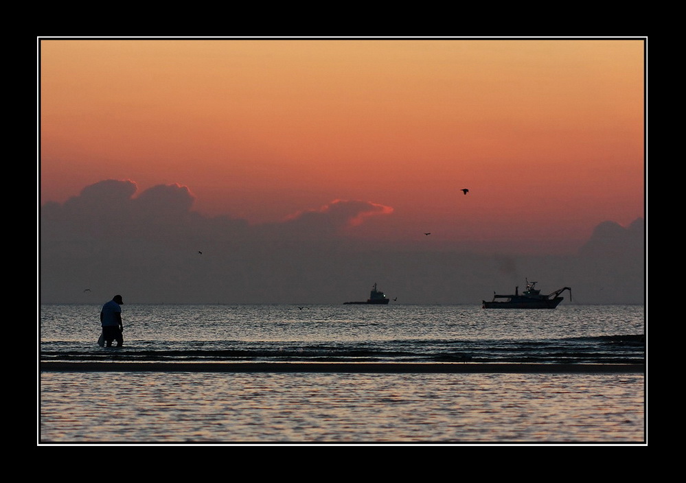 Nel primo chiarore del giorno....