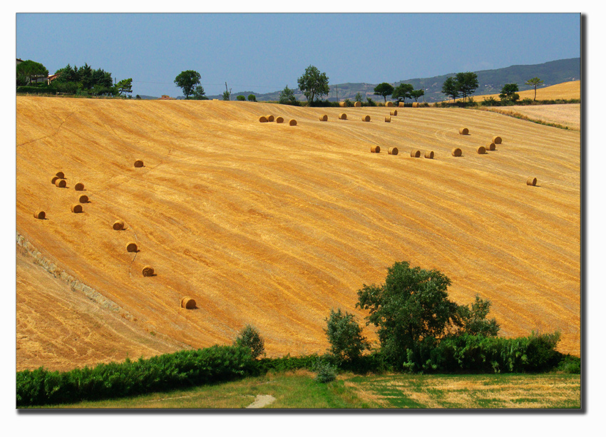 Sotto il sole di luglio