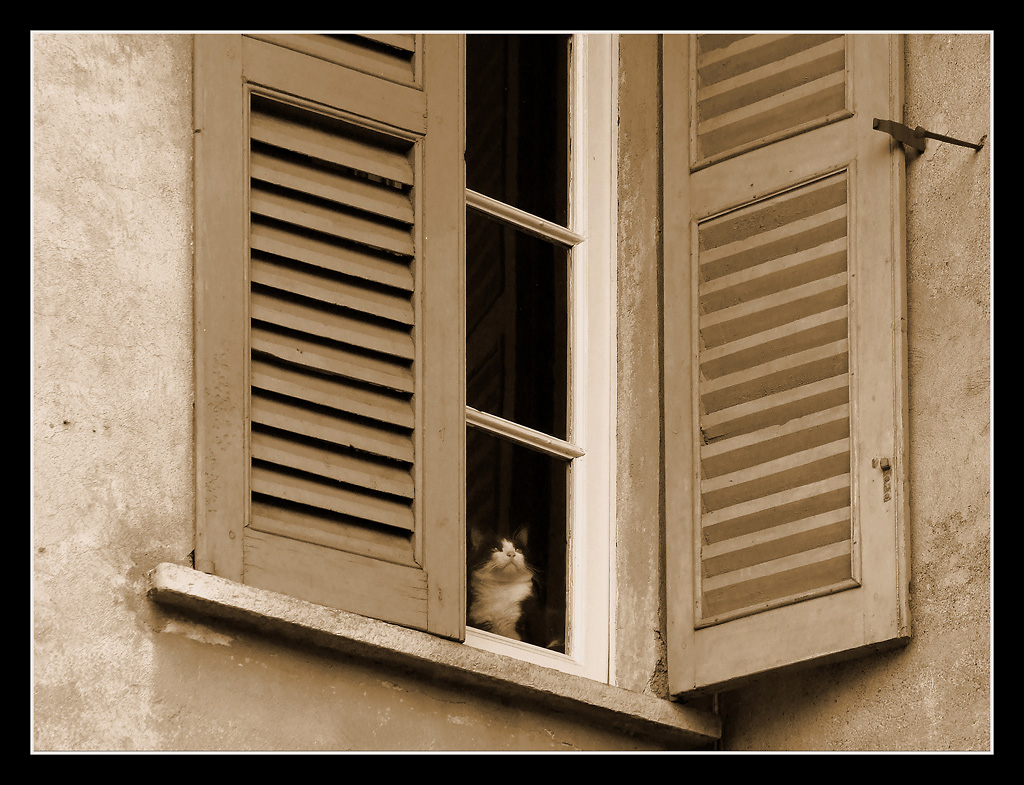 Sognando la Libert�