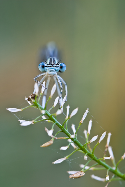 I miei occhi nei tuoi...
