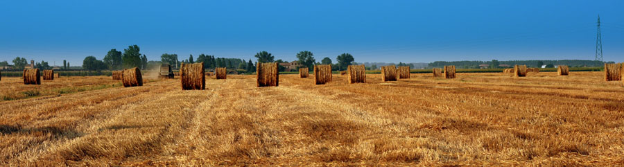 La corsa delle balle