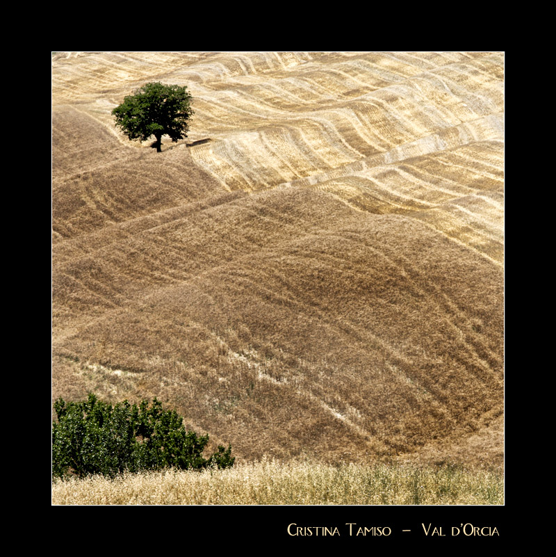 Val d'Orcia 6