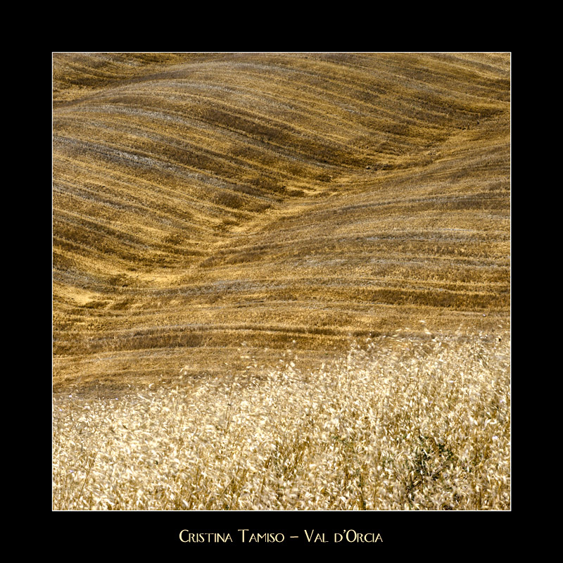 Val d'Orcia - C'era una volta il grano....