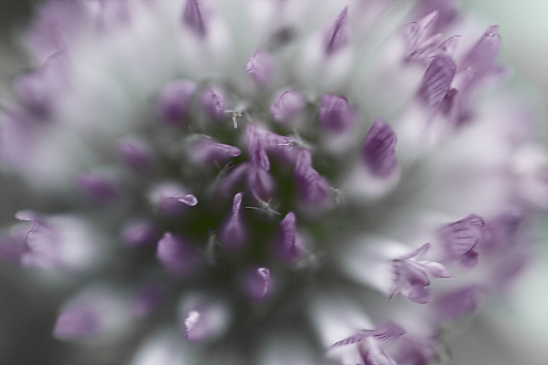 Uno Sguardo Da Sopra