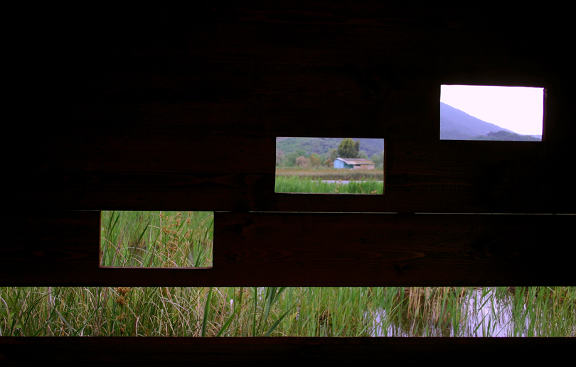 Reportage Oasi di Massaciuccoli