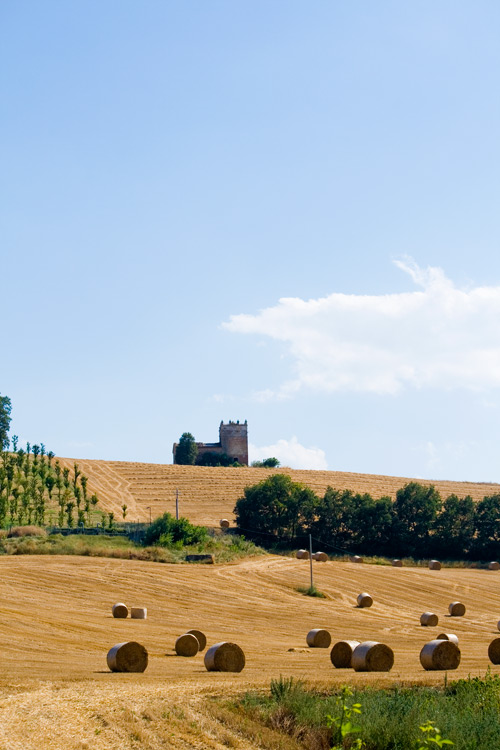 Castle