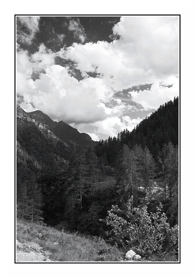 Valsesia Iin Bianco e Nero #2