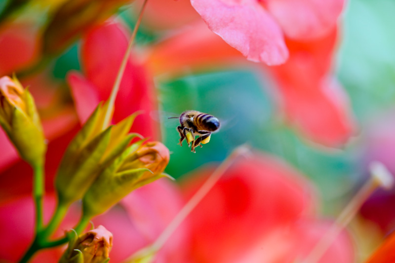 Arrivo.........arrivooooooo!