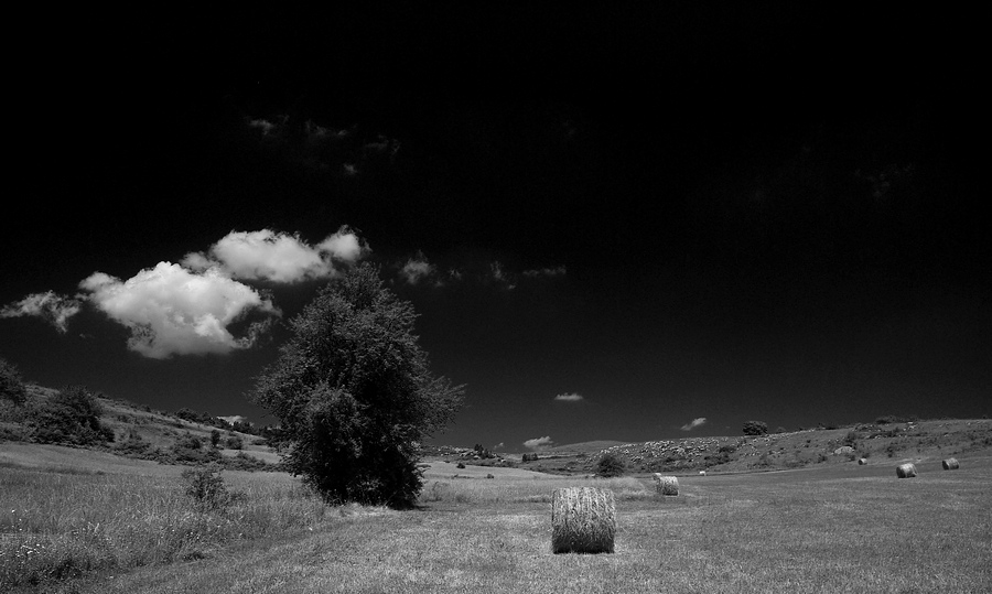 Rotoballe a modo mio