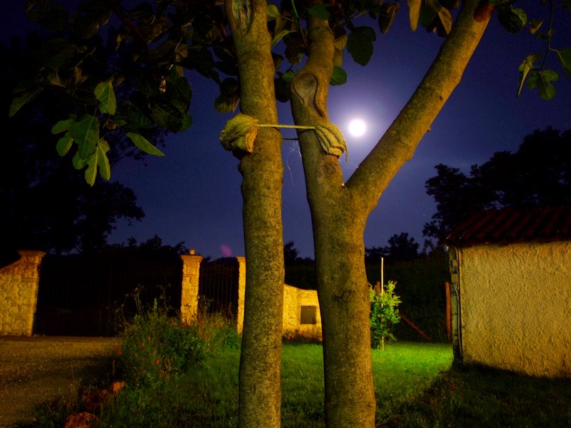 � tutta colpa della Luna...