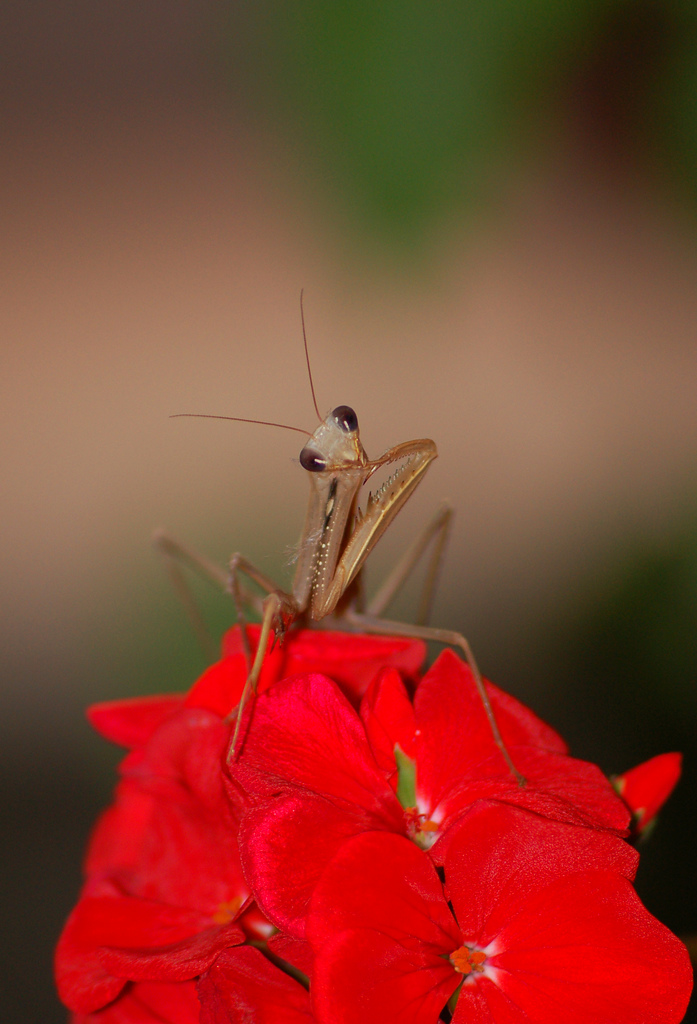 Mh?Are you watching me?