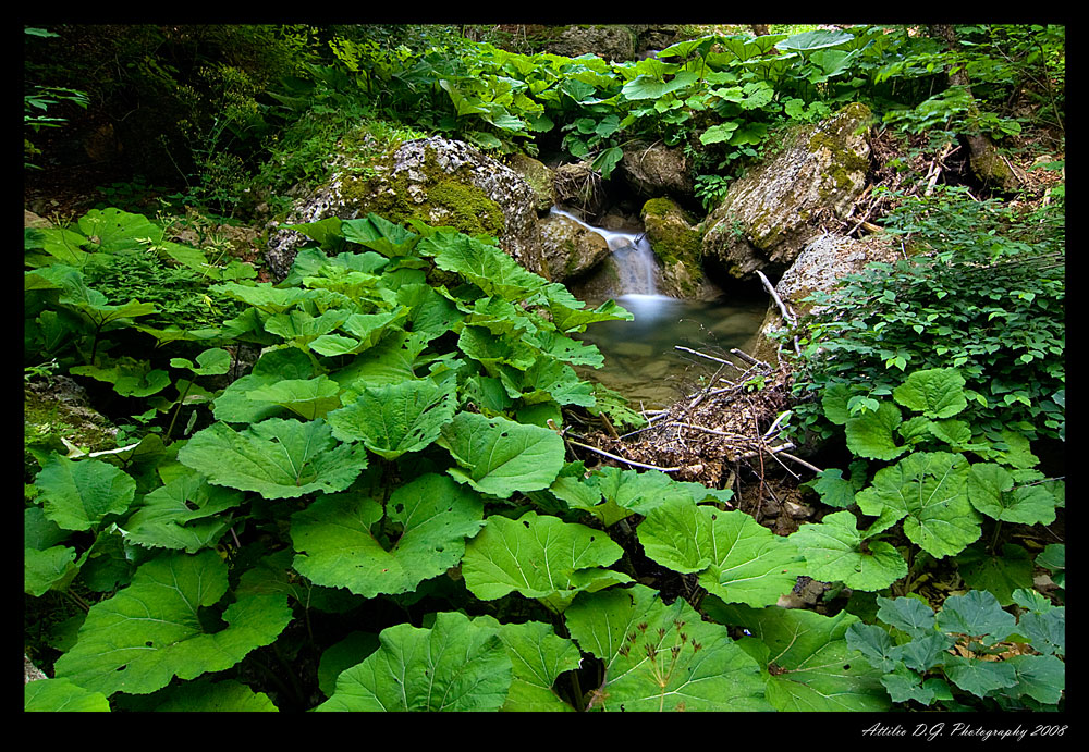 La calma e la pace dei sensi....