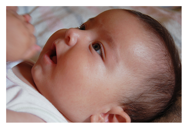 in custodia per un giorno